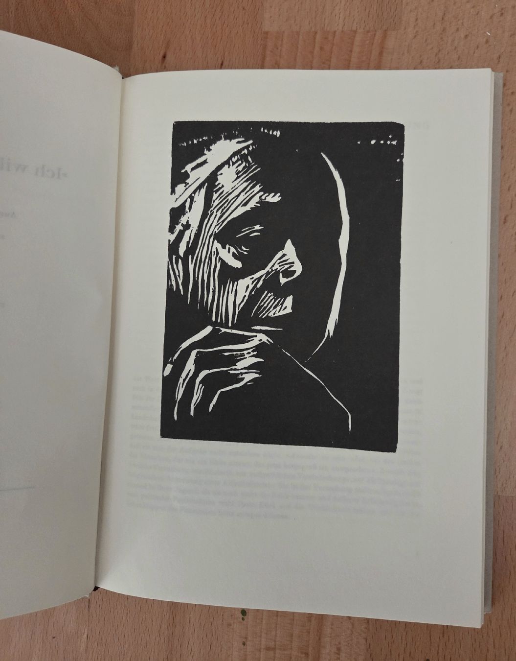 Bücher: 2 Käthe Kollwitz Bücher  – Gebraucht aus St. Gallen von GooodDay 4