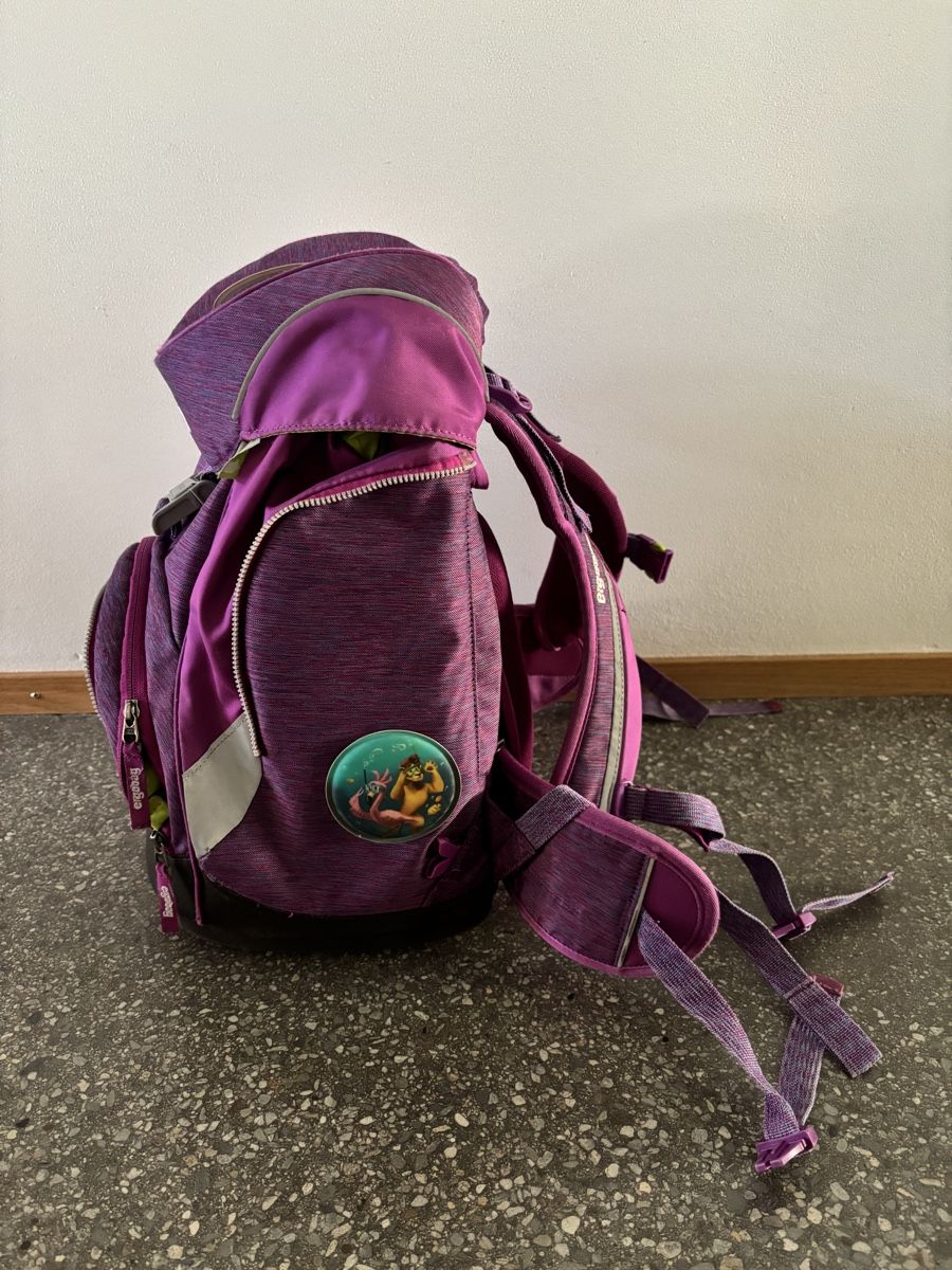 Ergobag Borse & Zaini: Ergobag Schulrucksack – Usato da Chur venduto da vespa-66 3