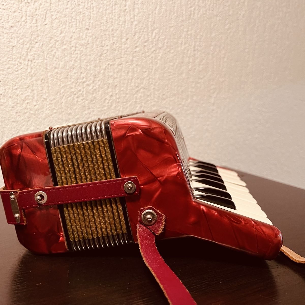 Hohner Musikinstrumente: Hohner Kinder Örgali – Gebraucht aus Wolhusen von Bunei 2