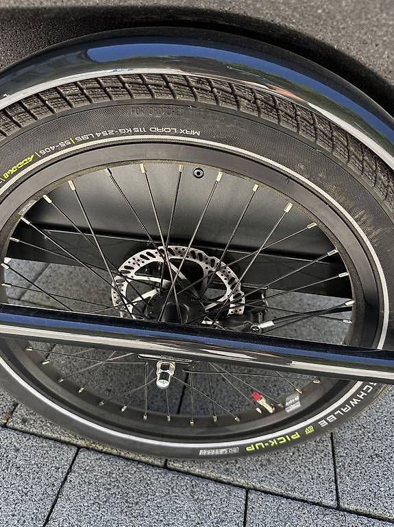 Batavus Velos: Cargovelo fast neu für zwei Kinder – Gebraucht aus arbon von Fullpull11 2