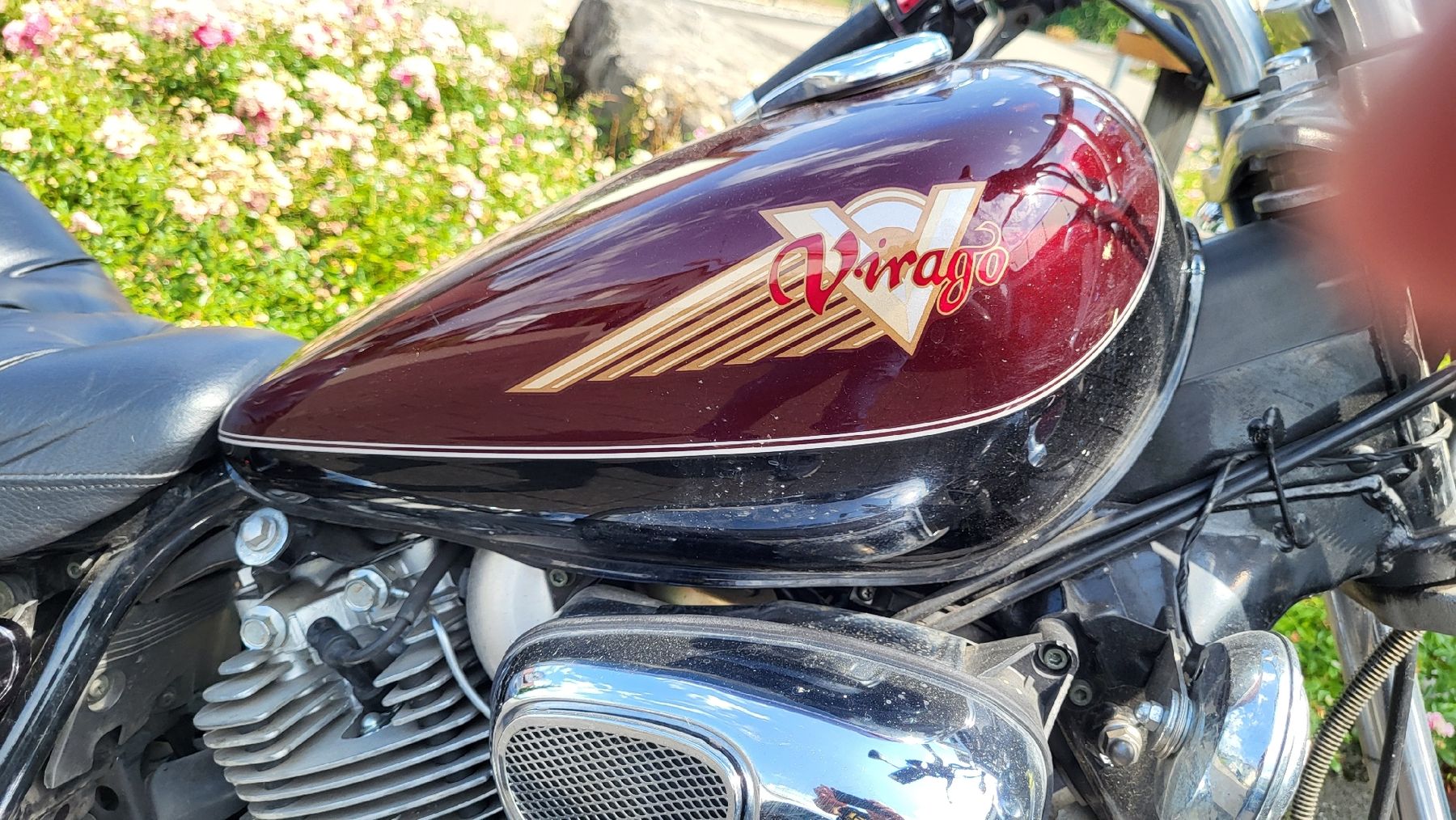 Yamaha Cruisers: Yamaha Virago XV 750 – D'occasion à Gossau SG par tano09 2