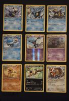 Pokemon Nero e Bianco Confini Varcati ITA