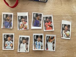 Panini Cola Sticker
