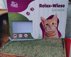 Katzen Wiese / cat grass mat 