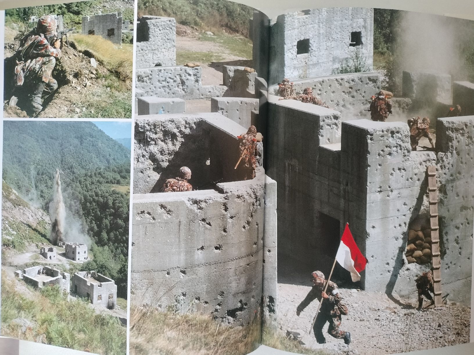 Libri: Schweizer Armee Militär Buch – Usato da Schwanden Sigrisw venduto da cadieux71 5