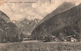 Les Plans sur Bex (VD) – Les Soldanelles