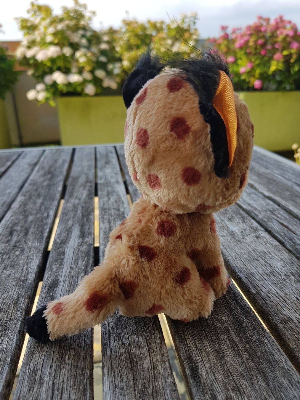 Ty Giocattoli: Plüschfigur BEANIE BOOS Buckwheat – Usato da Jona venduto da dampfnuggi 2