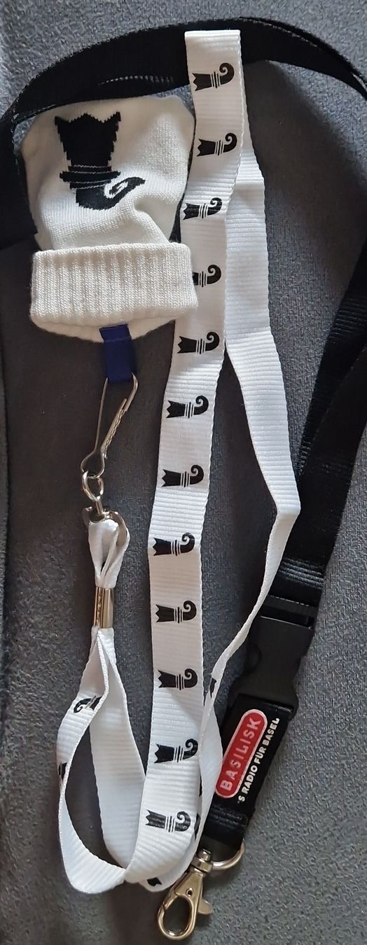 Porte-clés: 2 Basler Schlüsselbänder, Lanyards – D'occasion à Fällanden par michiknecht81