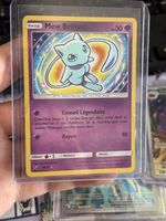 Mew Brillant SL FR