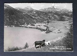 AK Lago di Poschiavo con Pizzo Verona