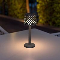LED Solar Leuchte zum Stecken oder Stellen 50337