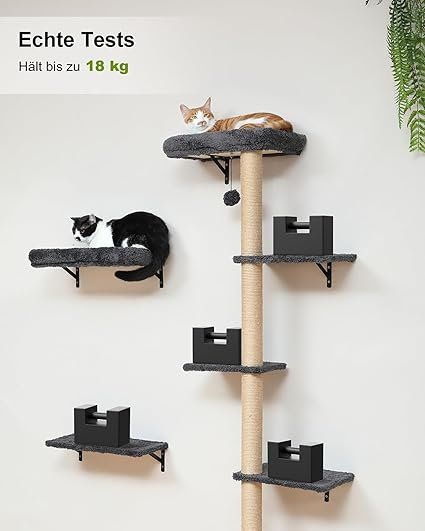 Pareti & prese d'arrampicata: Kletterwand Katzen-Set, 178 cm hoch – Nuovo e nell'imballaggio originale da Oberentfelden venduto da ase_sk8n 7