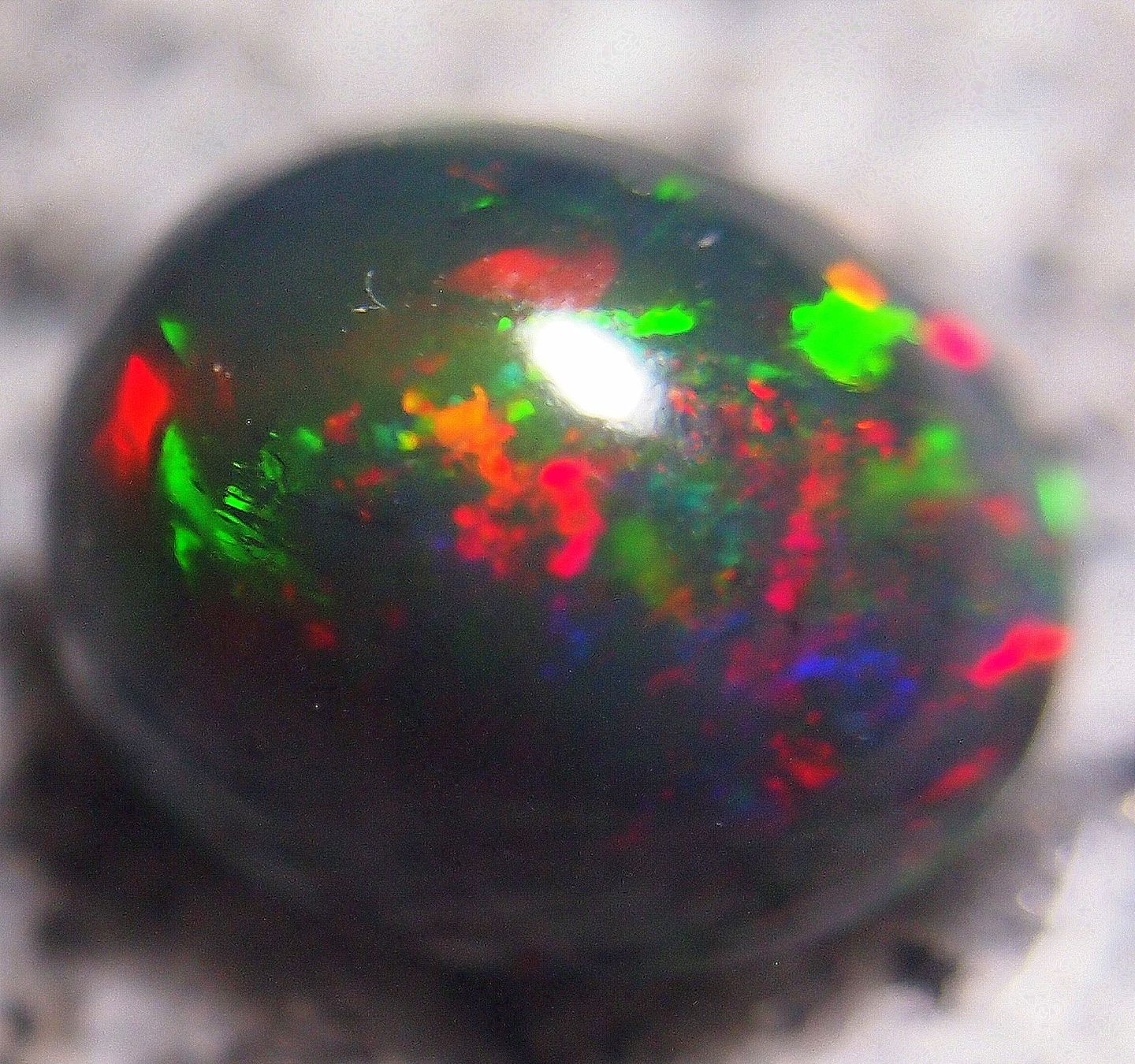 Pietre preziose: 4,4 CTS WELO-FEUEROPAL brilliant AAA – Nuovo e nell'imballaggio originale da Reinach BL venduto da blumarco 2