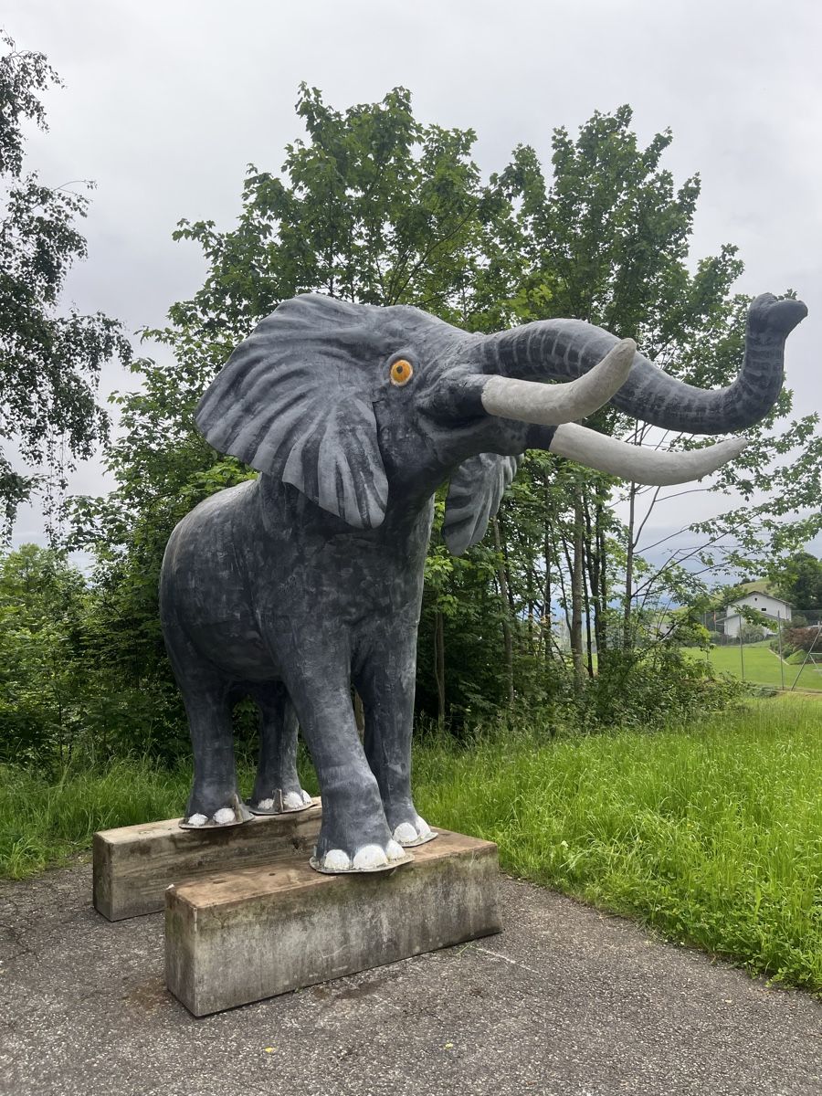 Statuette: Elefant Riesengross 4x3 Meter gross – Usato da Walde SG venduto da buenzli-1 3