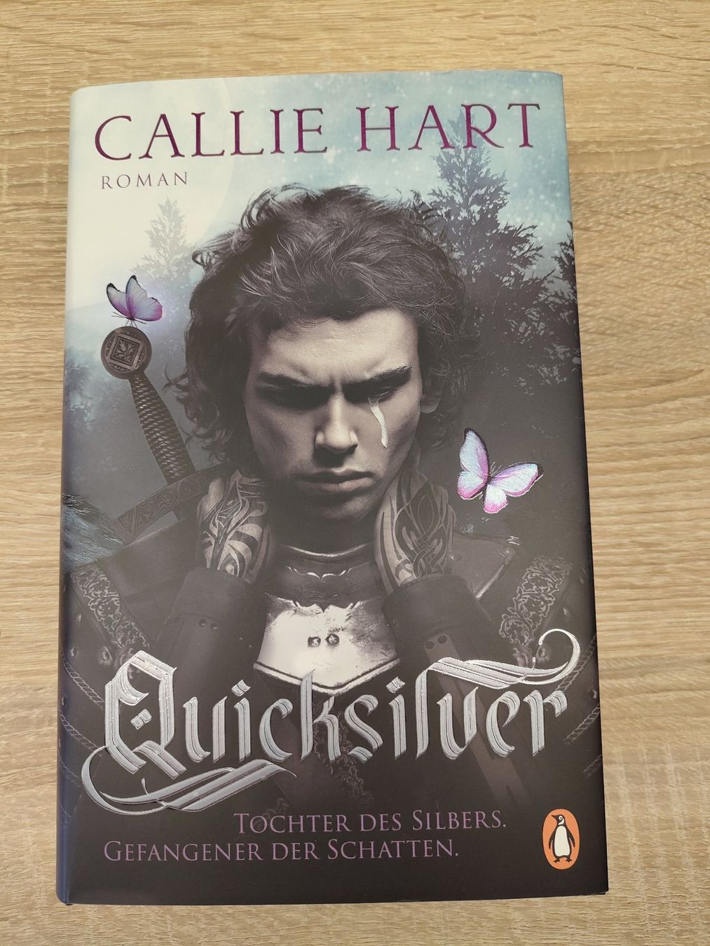 Libri: Quicksilver mit Farbschnitt – Usato da Steinen venduto da aislynn