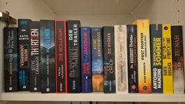 Bücherpaket Krimis/Thriller (Freida McFadden, Jack Reacher)