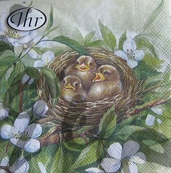 Tovaglioli: Serviette vogelnest 2Stk. – Nuovo (secondo la descrizione) da Schlatt TG venduto da kreativ-atelier