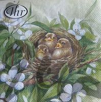 Serviette vogelnest 25x25 (t290)