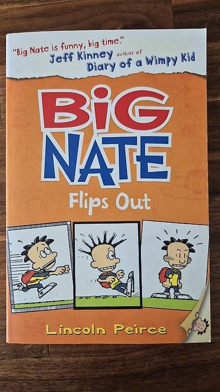 Libri: BIG NATE, Flips Out – Usato da Lyss venduto da d_p_id