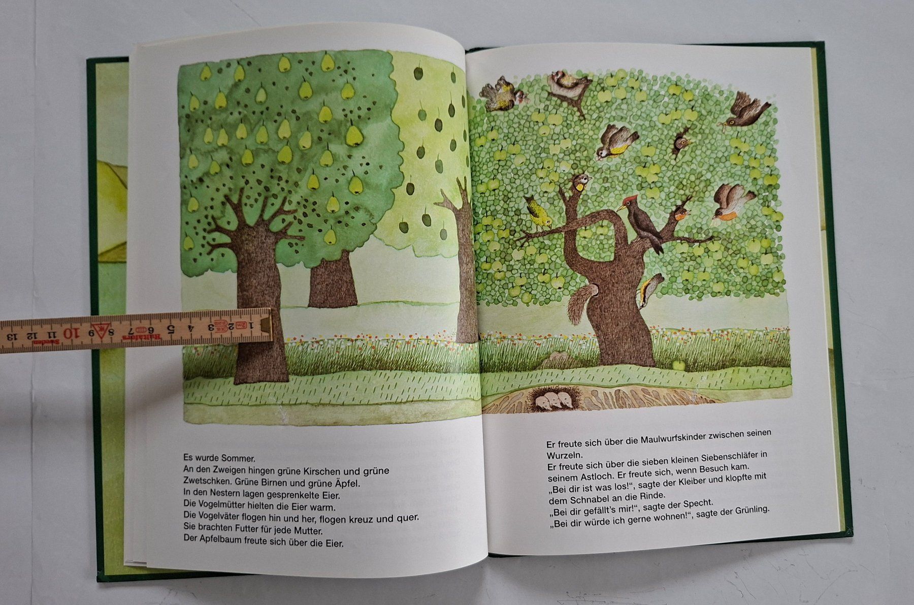 Libri: Der Apfelbaum - Kinderbuch von Mira Lobe – Usato da Opfikon venduto da Diversamente 4