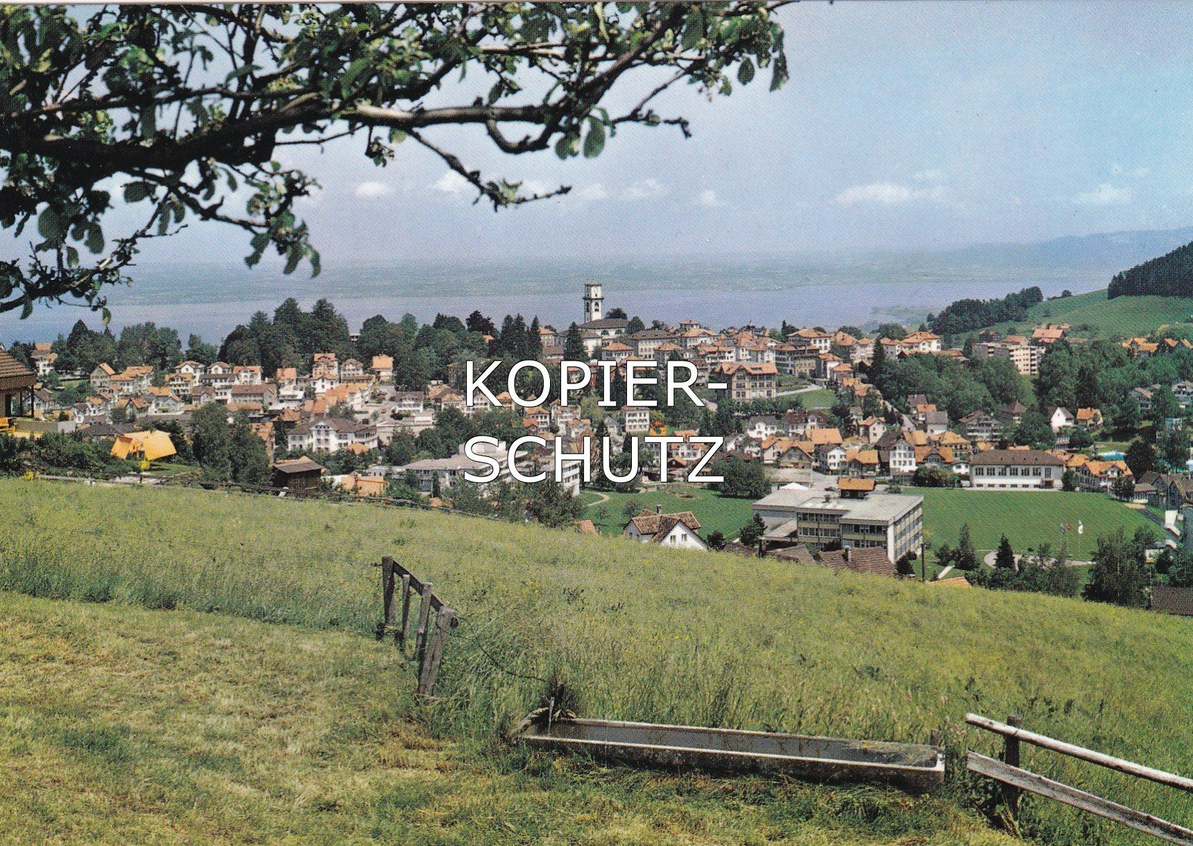 Cartoline postali: Heiden /aw – Usato da Hombrechtikon venduto da Rudolf07
