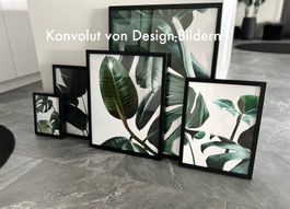 Design-Bilder DESENIO gerahmt - Monstera Strelizie Style NEU