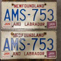 🇨🇦2x Paar Autoschild, Newfoundland Labrador AMS-753 Kanada