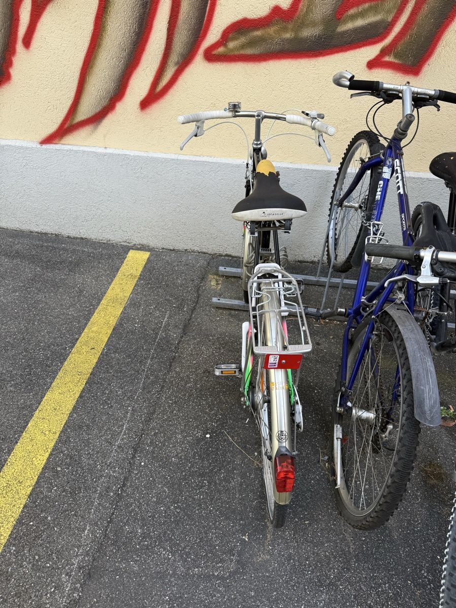 Velos: Fahrrad / Velo – Gebraucht aus Zürich von alyssum99 1
