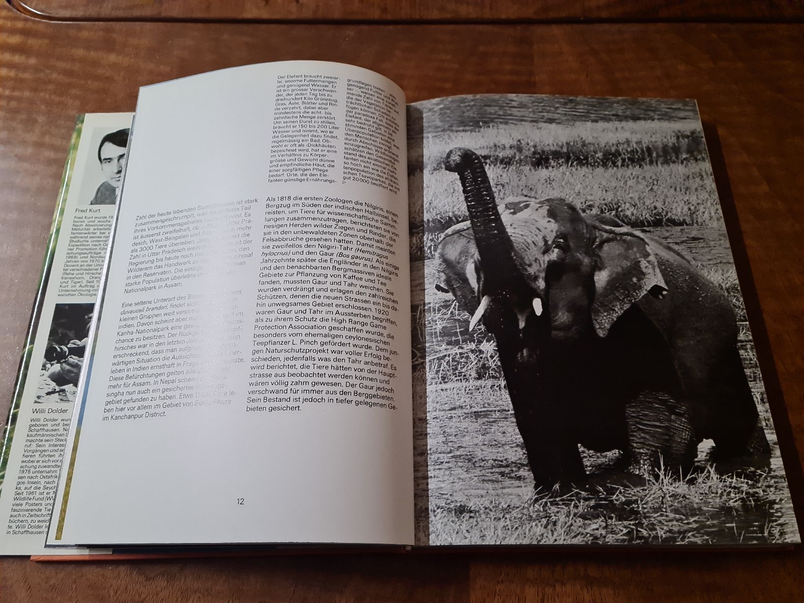 Libri: Zoo Indien – Usato da Erstfeld venduto da Uhu1980 2