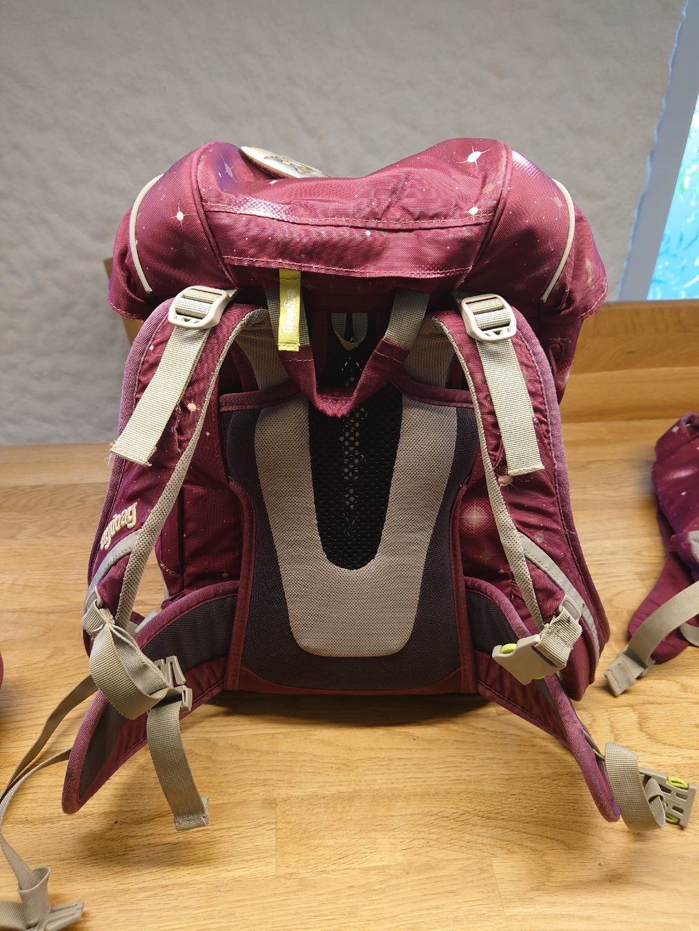 Ergobag Borse & Zaini: Schulrucksack Ergobag mit Turnsack und 2 Etuis – Usato da Wittenbach venduto da Maxder 2