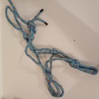 Licol éthologique taille cob