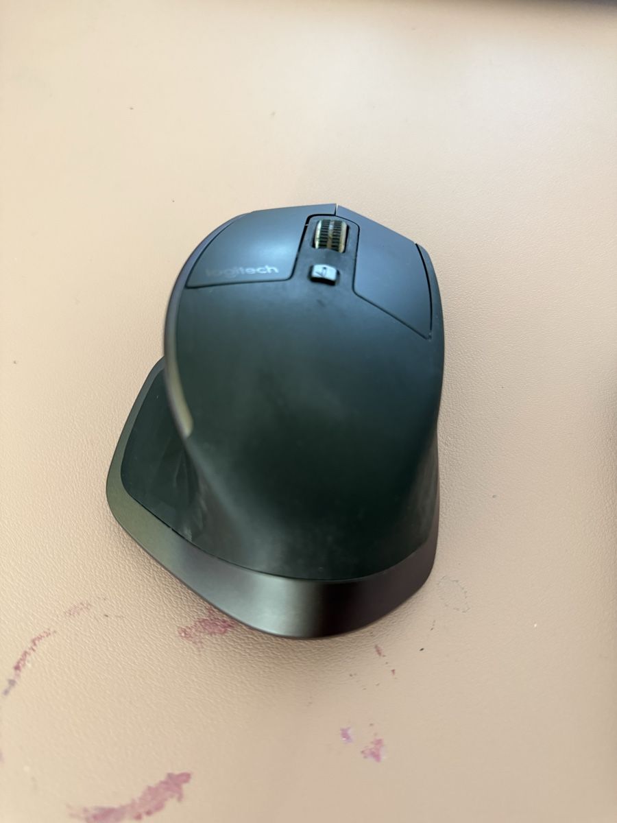 Logitech Mouse: Logitech - Souris MX Master – Usato da Belmont-Lausanne venduto da Michelle_Srdr_ 2
