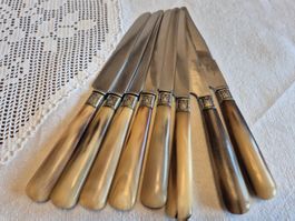 Messer Set Horn Griff, Metall Klingen 8 Stuck Vintage Messer