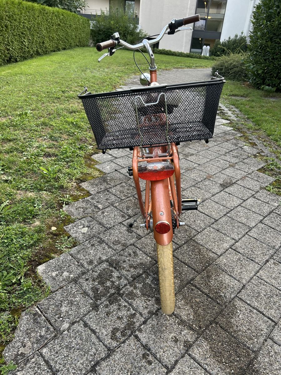 Velos: Damenvelo Pegasus – Gebraucht aus Buochs von tam_6lms 3