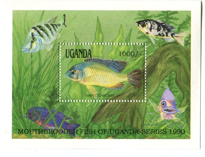 Tutti i francobolli: Block "Fische". Uganda – Nuovo e nell'imballaggio originale da Basel venduto da Butsch5
