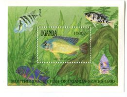 Block "Fische". Uganda