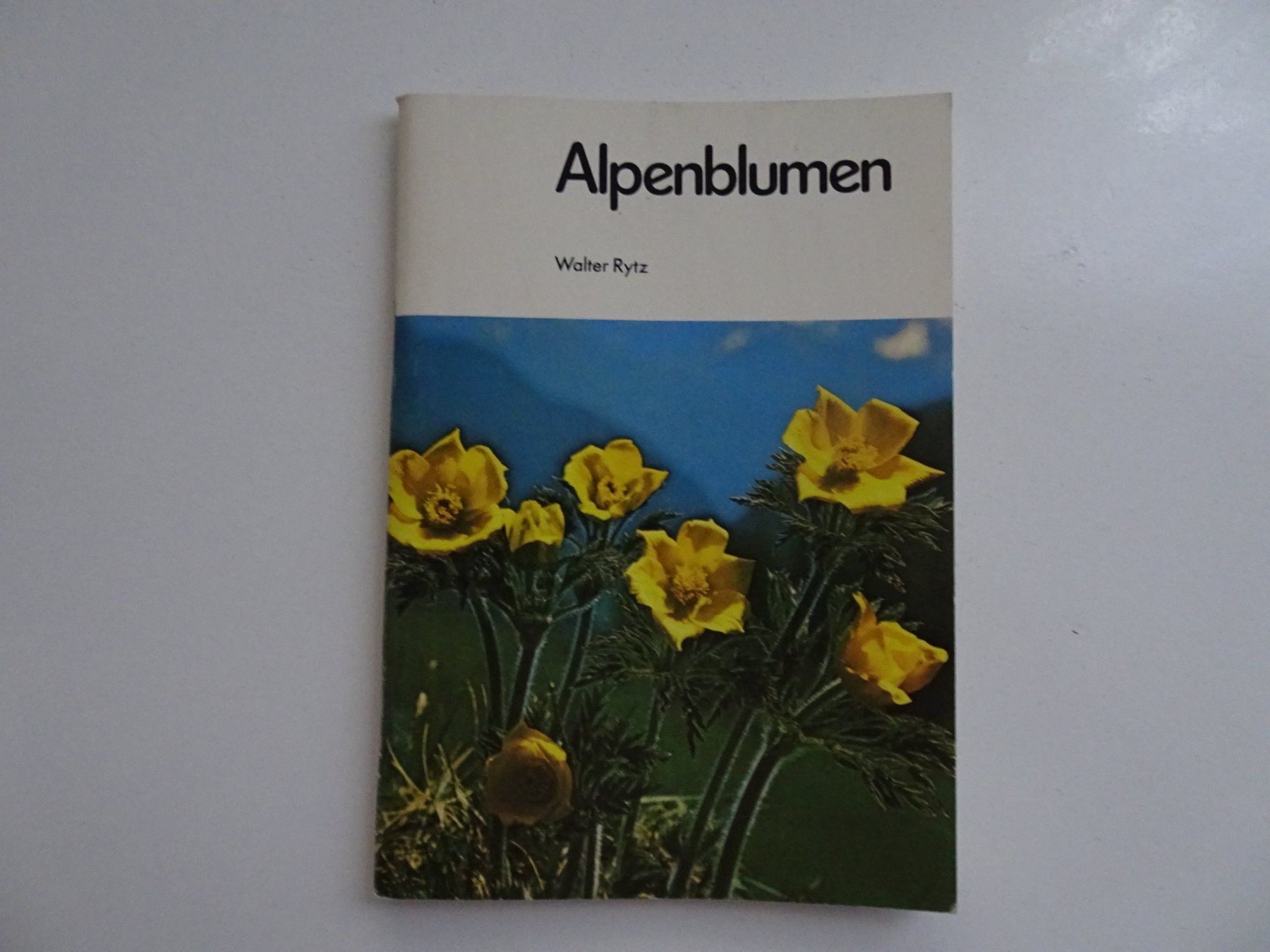 Libri: Alpenblumen - Walter Rytz – Usato da Winkel venduto da rsuzh