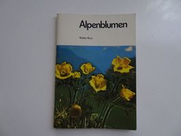 Alpenblumen - Walter Rytz
