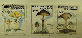 MALI - PILZMOTIVE / MOTIFS DE CHAMPIGNONS