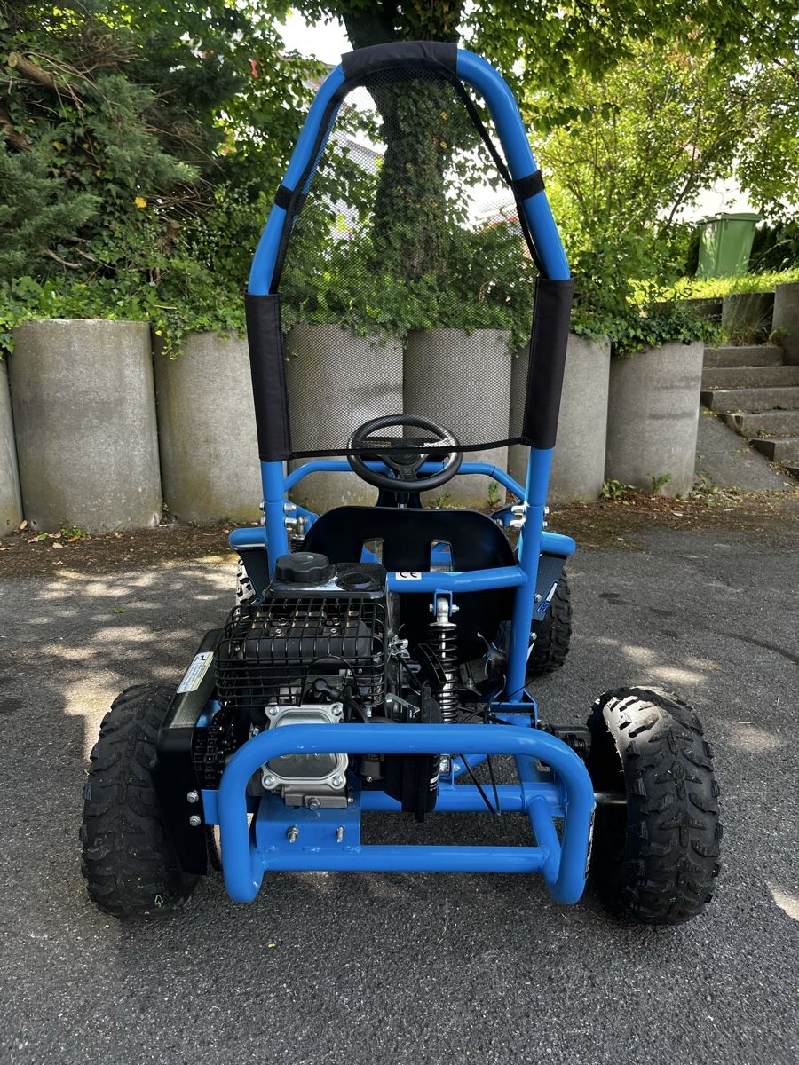 Miniquads: Kinder Buggy 110ccm – D'occasion à Rheineck par UhrenReinhardt 2