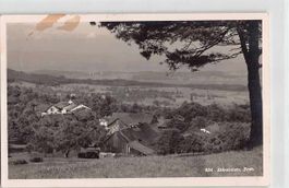 Schöne Ansichtskarte Dürstelen 1938 ZH Zürich