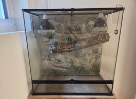 Exo Terra Natural Terrarium Large X-Tall (90 x 45 x 90 cm)