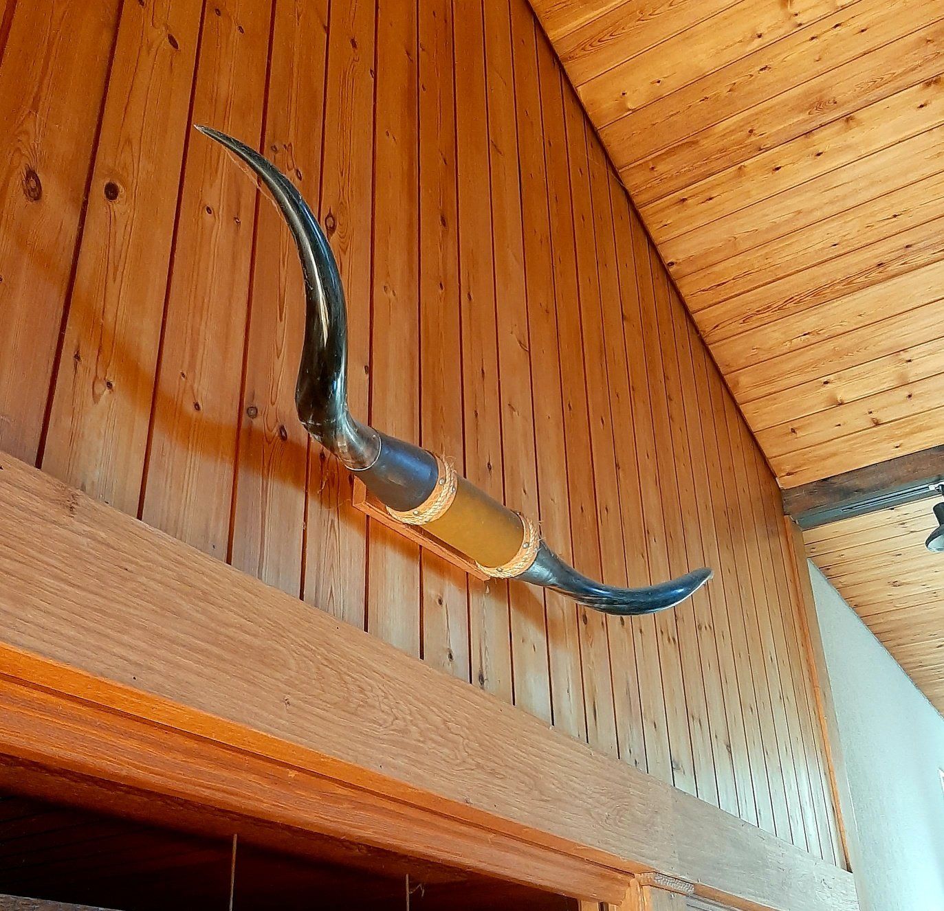 Tutte le decorazioni: Texas Longhorn – Usato da Stäfa venduto da mschurr11 1