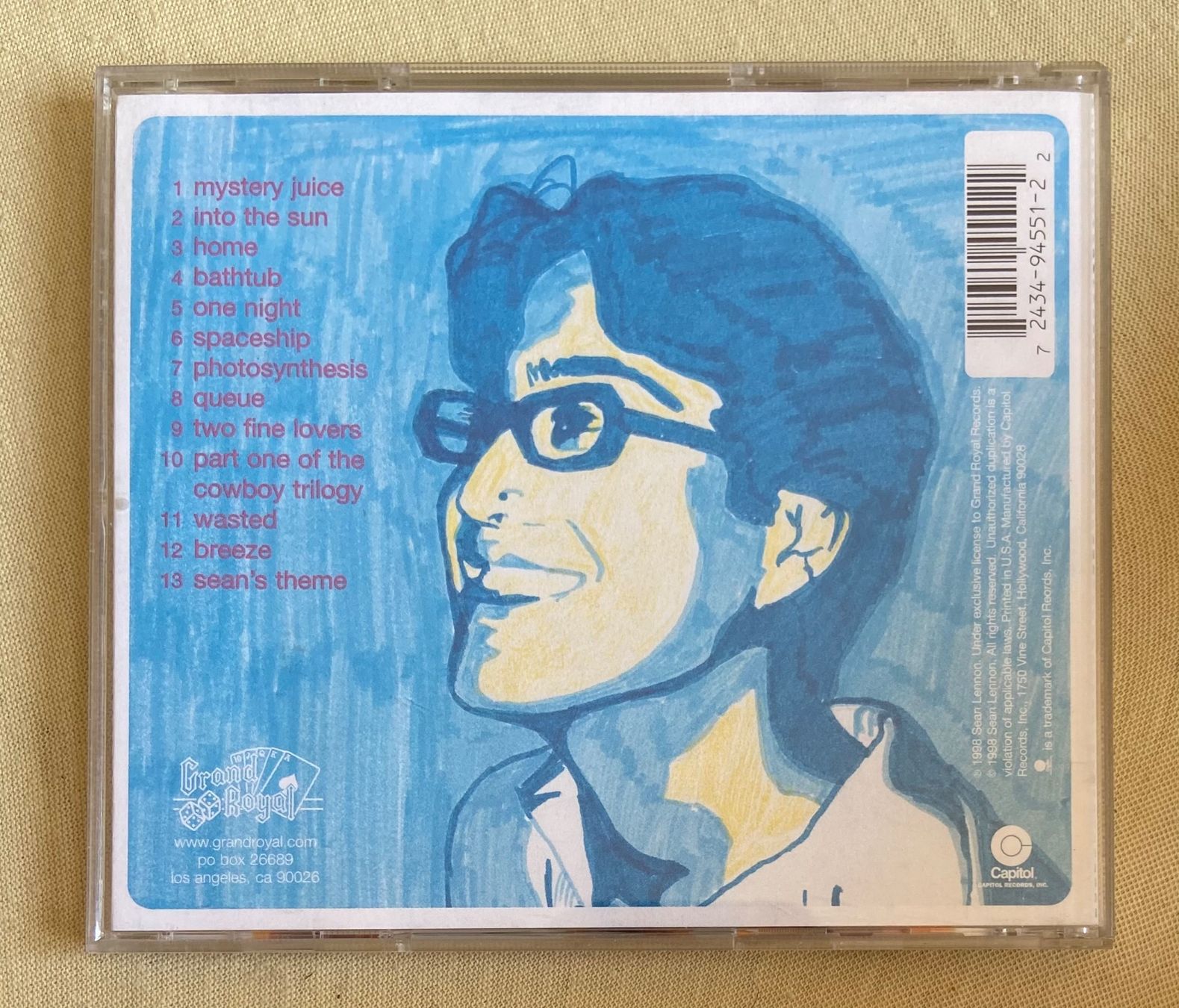 CDs: Sean Lennon CD into the sun – Gebraucht aus Luzern von Lycka 1