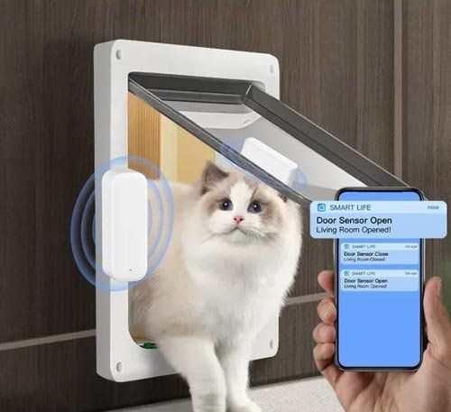 Sistemi d'allarme: WiFi Tür- & Fenstersensor – Nuovo e nell'imballaggio originale da Liestal venduto da OMAROSHOP 1