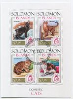 Block "Katzen". Salomonen.