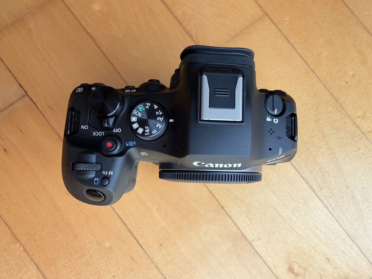 Canon Kamera: Canon EOS R6 Mark III – Gebraucht aus Wallisellen von Covenant 2
