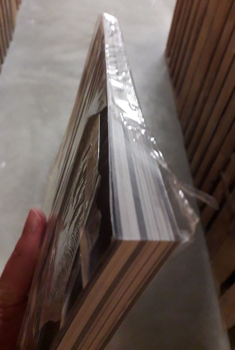 Bücher: Resident Evil 6 Artworks – Neu und originalverpackt aus Basel von QUER13 8