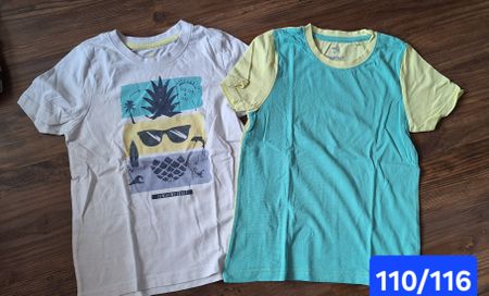2 T-Shirts Sommer Gr. 110/116, Top Zustand, super Set!
