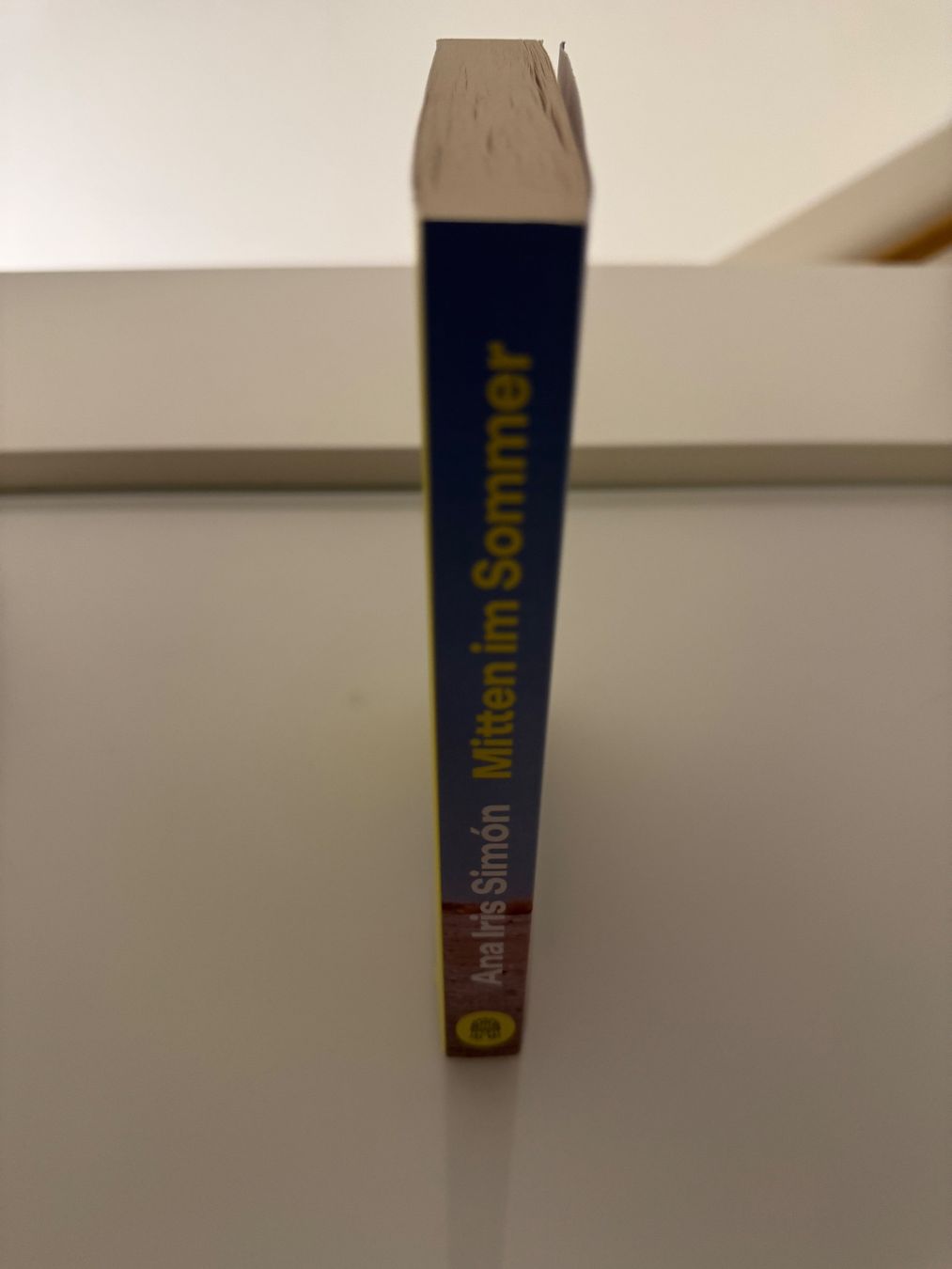 Bücher: Ana Iris Simón – Mitten im Sommer – Gebraucht aus Dietikon von Julia.obers 1
